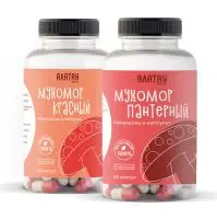 КОМБО из 2 видов мухоморов: микродозинг красный и пантерный