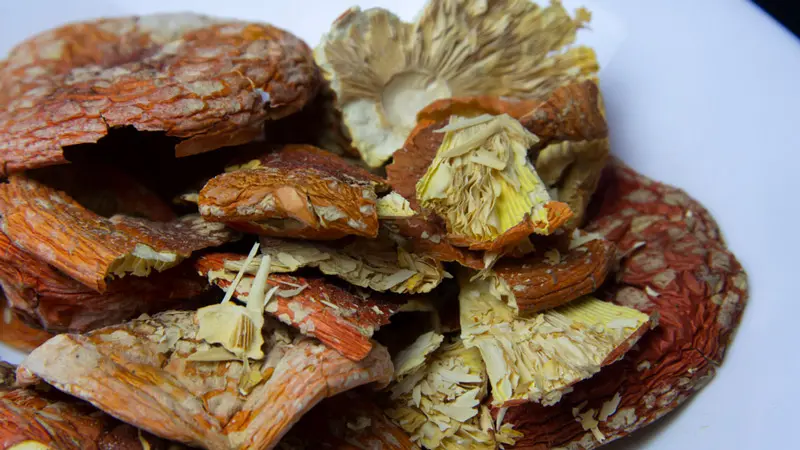 Сушеные грибы