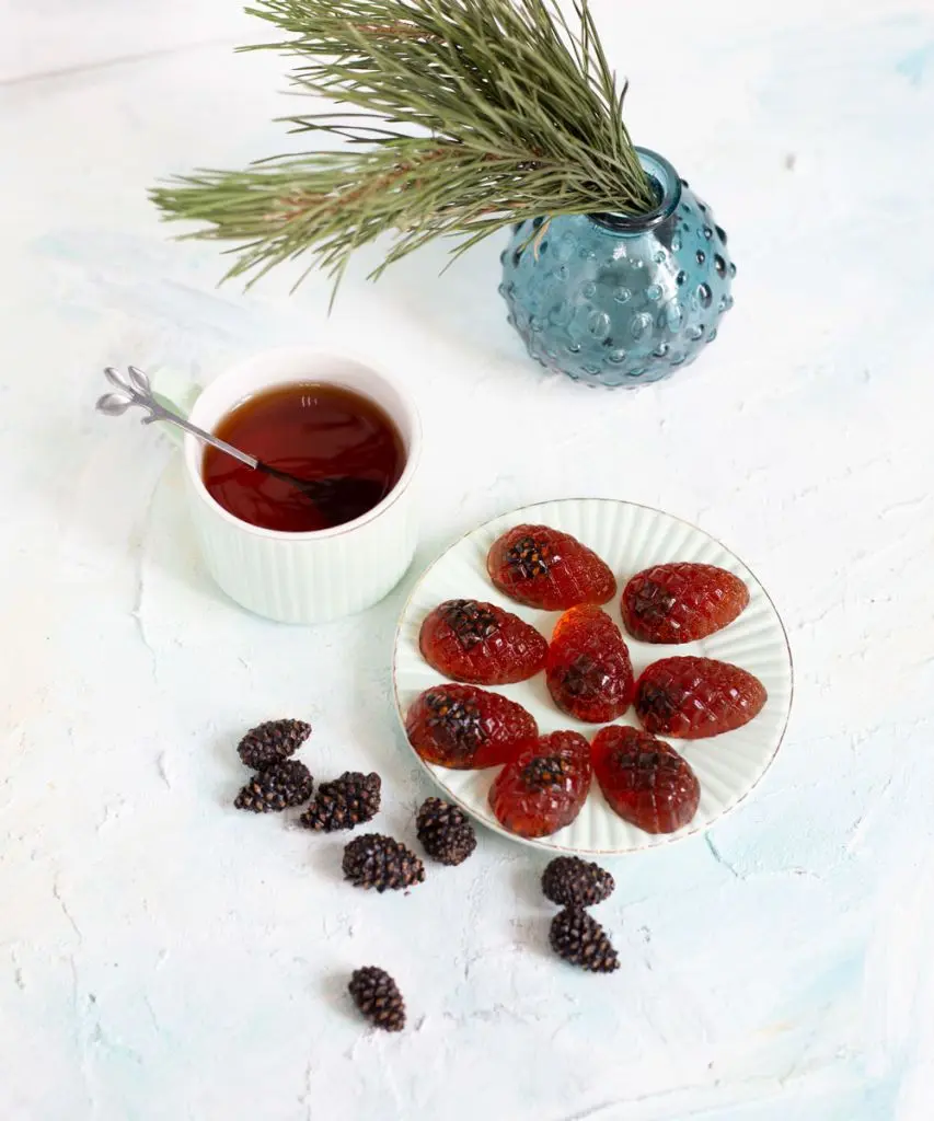 Мармелад из сосновых шишек | Алатау