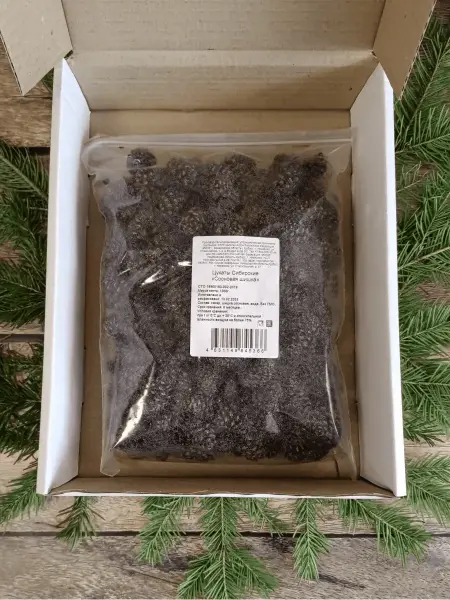 Цукаты из сосновых шишек 1 кг