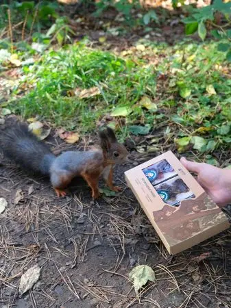 Подарочный набор мармелада «Три медведя» 3 шт