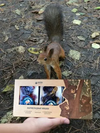 Подарочный набор мармелада «Три медведя» 3 шт