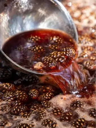 Варенье из сосновых шишек с кедровым орехом, 1 л