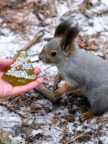 Мармелад сосновый "Ёлочка" с карамельной посыпкой, 90 г