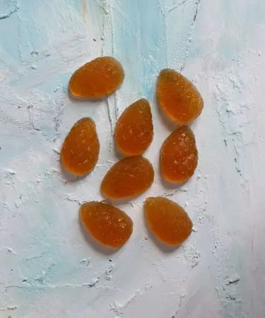 Мармелад ягодный Облепиховый, 110 г