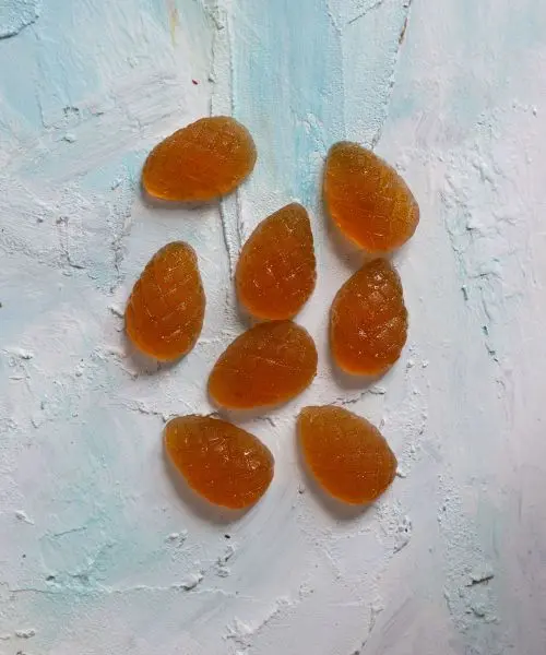 Мармелад ягодный Облепиховый, 110 г