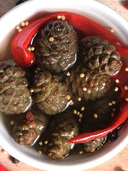 Каперсы из сосновых шишек маринованные с красным перцем, 200 мл