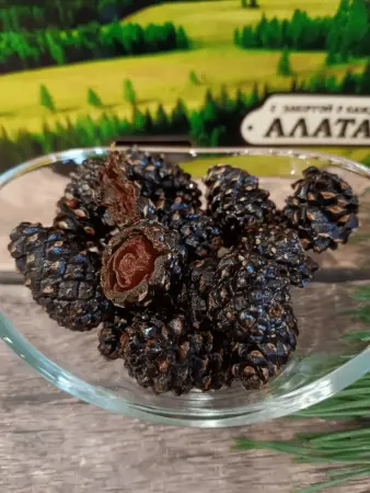 Цукаты из сосновых шишек 1 кг