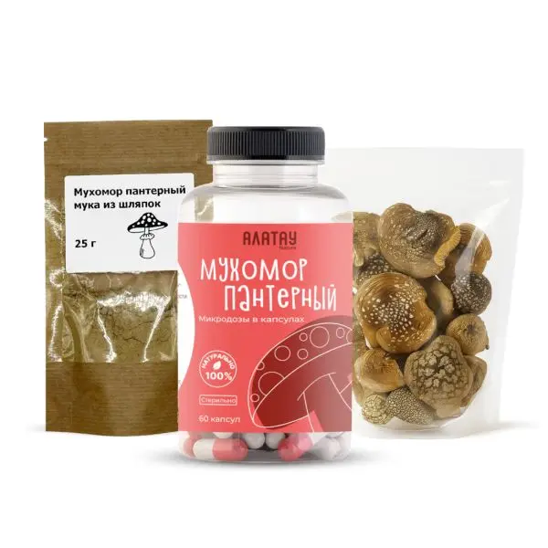 Комбо набор Пантерный 3в1: микродозинг из мухомора, мука из шляпок и сушеные шляпки