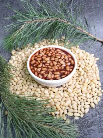 Кедровый орех в Сосновом сиропе, 100 мл